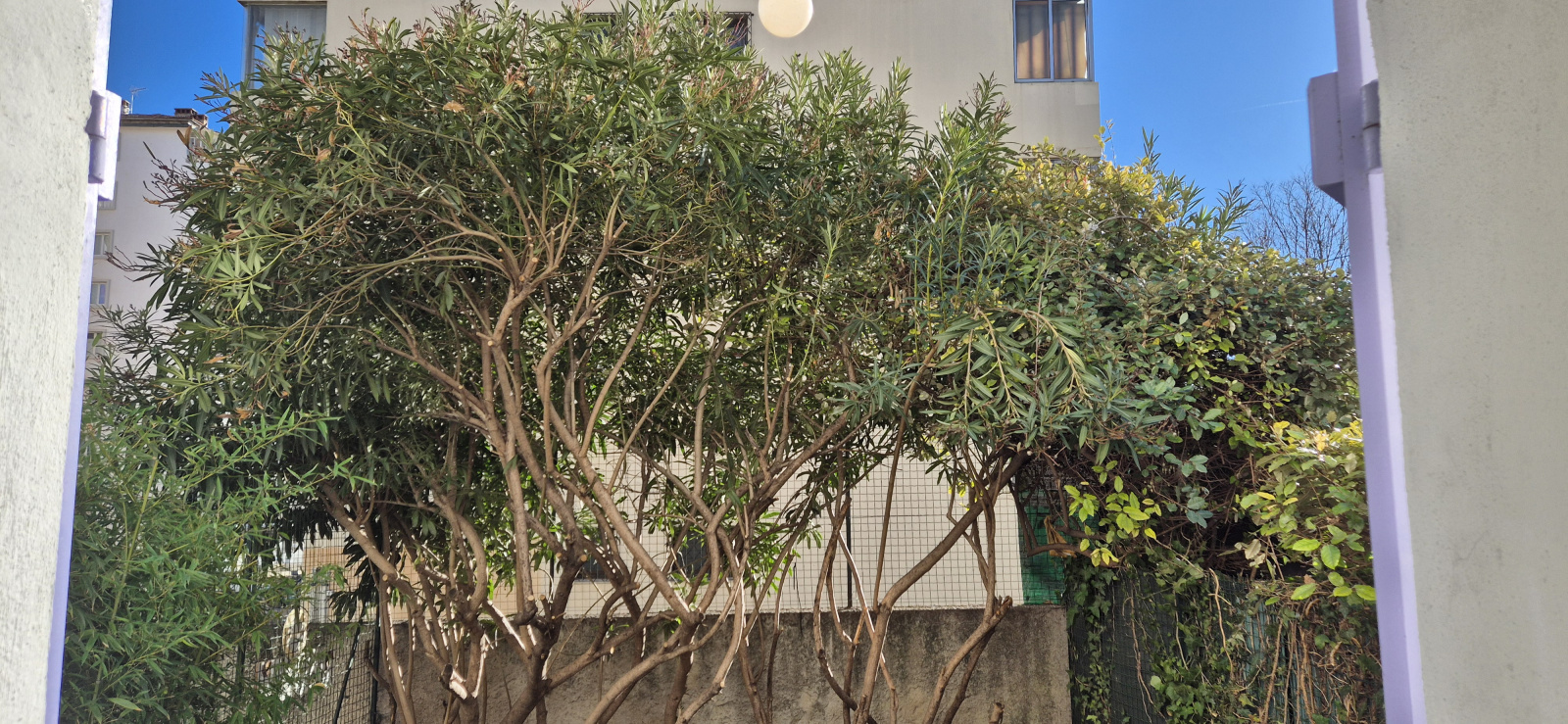 Image_11, Appartement, Toulon, ref :4c 09-01