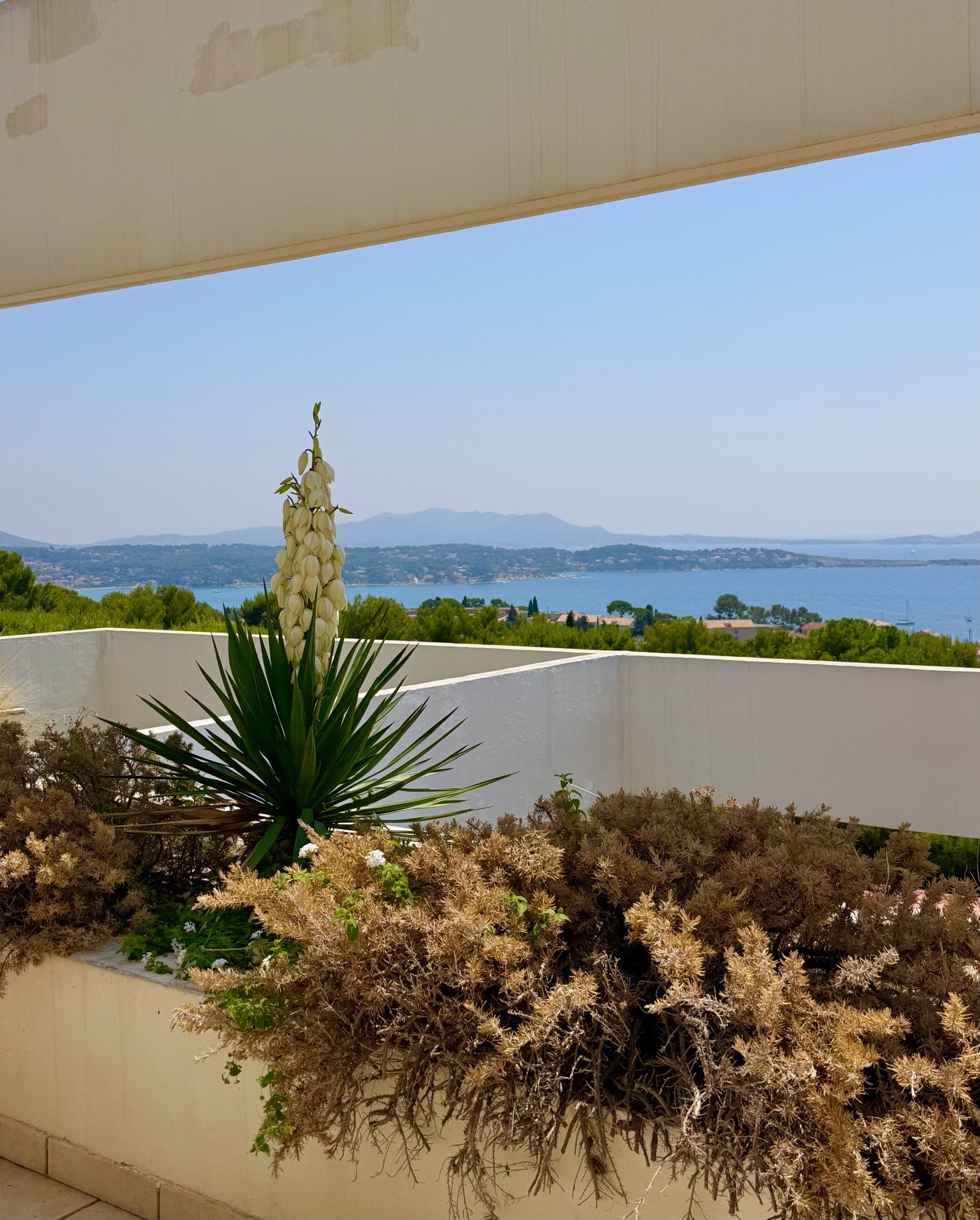 Image_1, Appartement, Bandol, ref :524GS