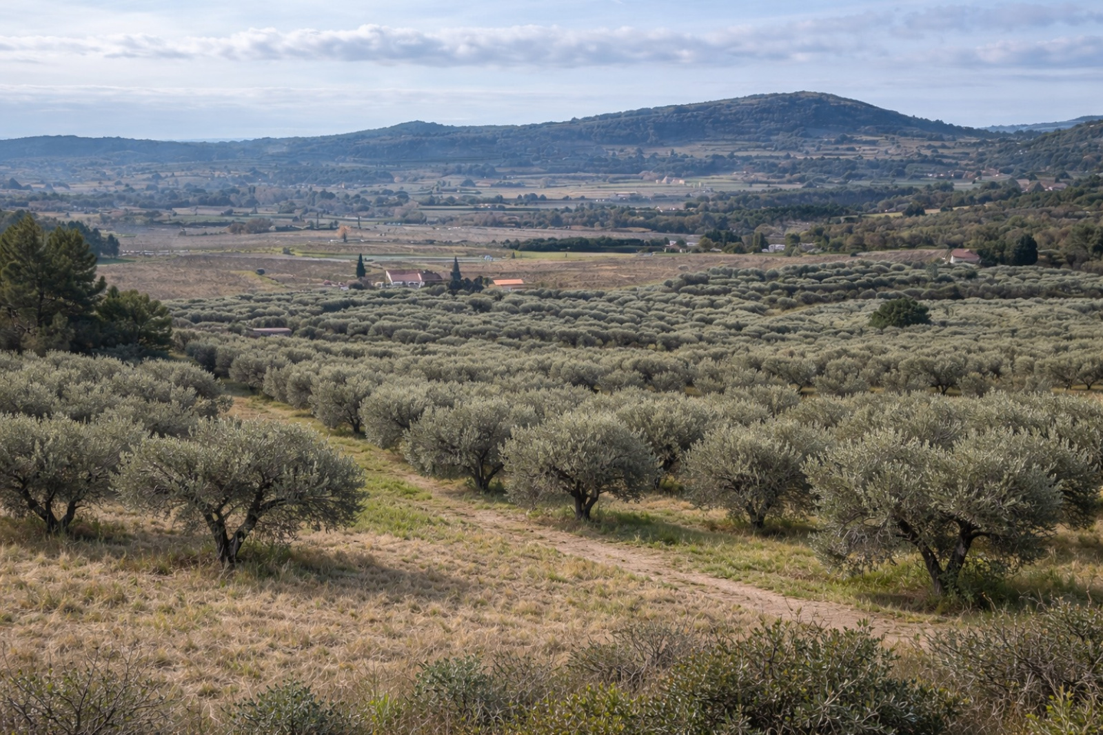 Image_3, Terrain agricole, Le Castellet, ref :2371