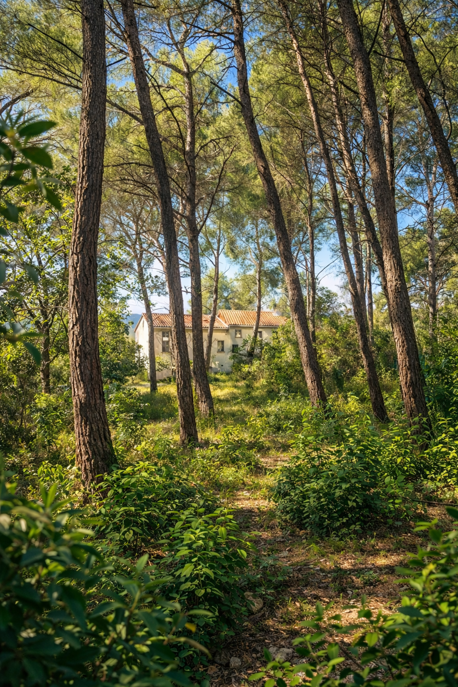 Image_17, Appartement, Le Beausset, ref :2389