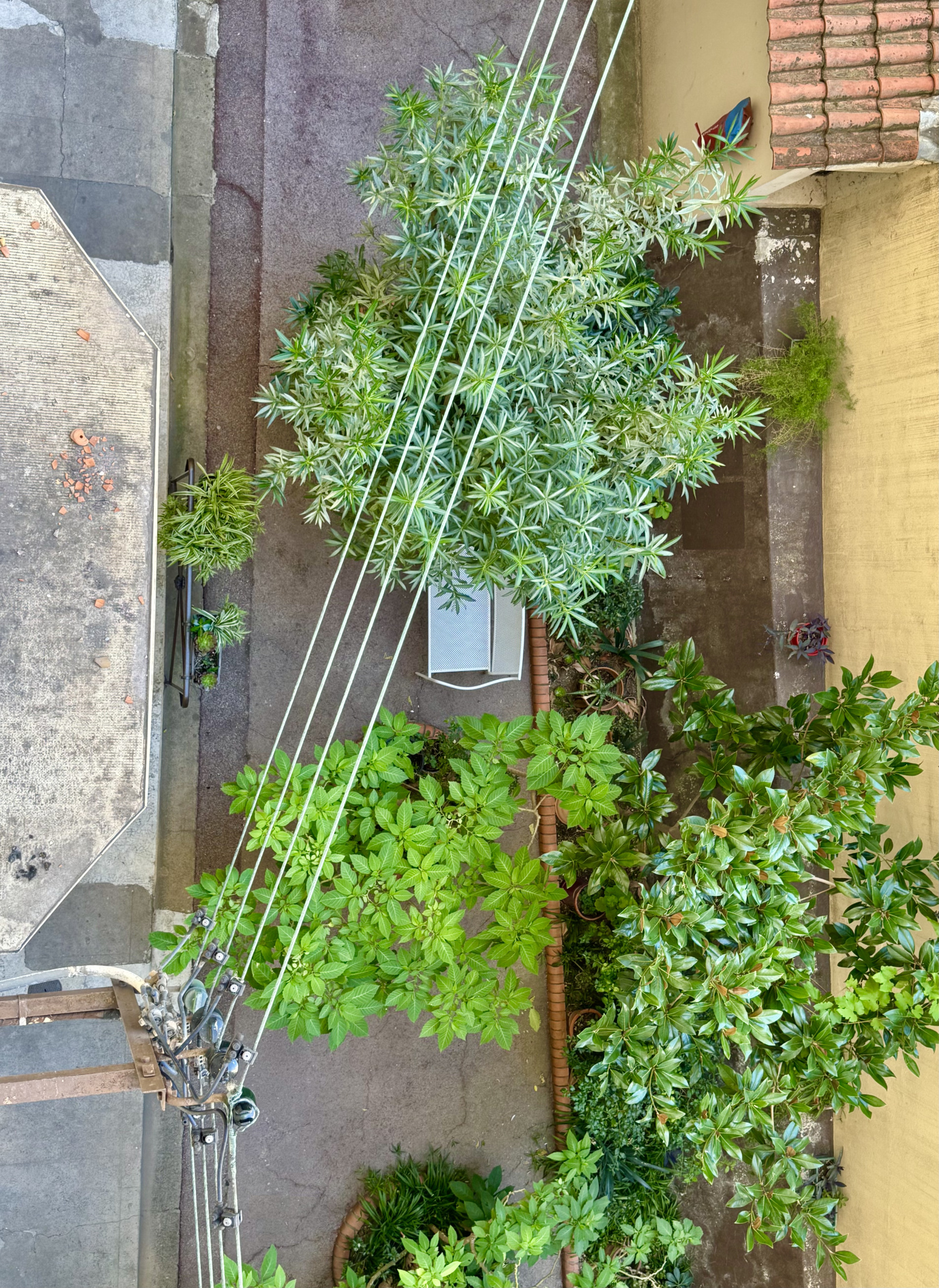 Image_14, Appartement, Toulon, ref :495GS