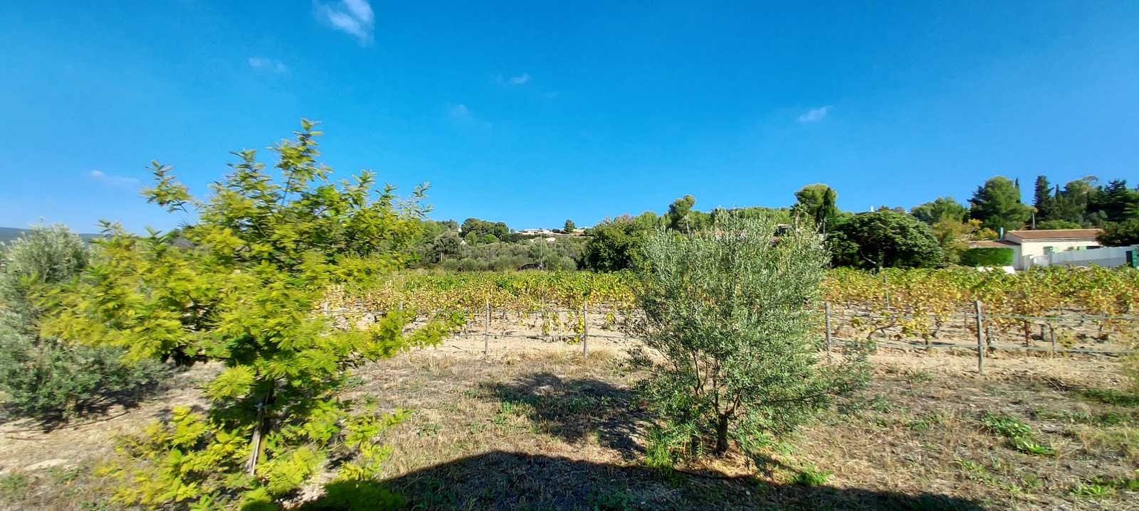 Image_6, Studio, La Cadière-d'Azur, ref :705